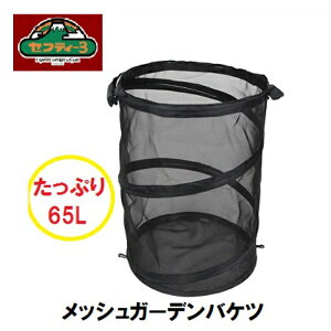 yzLzYƁ@ZteB|3bVK[foPc65L