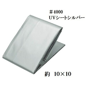 ^t 联4000@VUV[gyVo[V[gz 10×10my10m×10mzUVܓEhV[gEUVVo[V[g