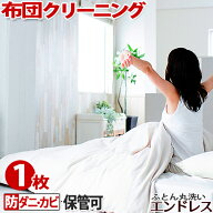 【5%OFFクーポン発行】羽毛布団　クリーニング　 保管 可 布団　クリーニング　防ダニ・カビ加工セット【…