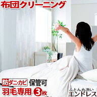 【5%OFFクーポン発行】羽毛布団 クリーニング 3枚 布団クリーニング　保管 可　防ダニ・カビ加工セット …