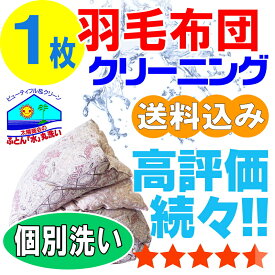 【布団クリーニング】布団クリーニング 羽毛布団 布団 クリーニング 羽毛 ふとん 丸洗い 個別洗い 1枚 宅配 宅配クリーニング