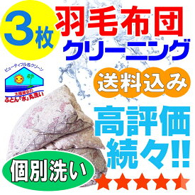 【布団クリーニング】布団クリーニング 羽毛布団 布団 クリーニング 羽毛 ふとん 丸洗い 個別洗い 3枚 宅配 宅配クリーニング