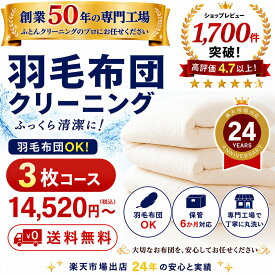 羽毛布団 クリーニング 布団クリーニング ダウン 布団 クリーニング 羽毛 ふとん 丸洗い 3枚 保管オプション追加可 宅配 宅配クリーニング