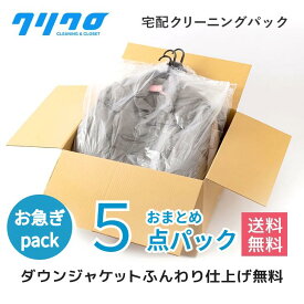 クリーニング　宅配　 お急ぎ　即納【送料無料】詰め放題　5点パック　ダウンジャンパー制限ナシ♪【抗菌加工標準】スキーウェア　コート　高級　ダウン