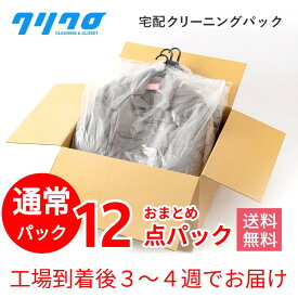 クリーニング　春の衣替えキャンペーン！宅配　クリーニング　保管　詰め放題12点パック　工場到着後3～4週間でお届け！短期保管【送料無料】ダウンジャンパー制限ナシ♪　【抗菌加工標準】【衣類/スキーウエア クリーニング　高級　ブランドダウン