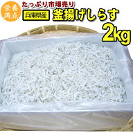 今年は豊漁！値下げしました！！兵庫 淡路産 ふっくら 釜揚しらす2kg 業務用 　天然 しらす シラス じゃ…