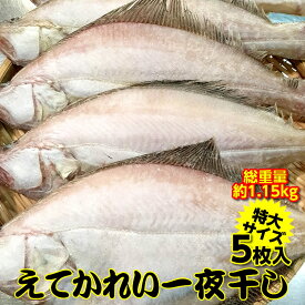 島根県産えてかれい 一夜干し 特大サイズ 5尾 エテガレイ 天然 カレイの干物 前浜物