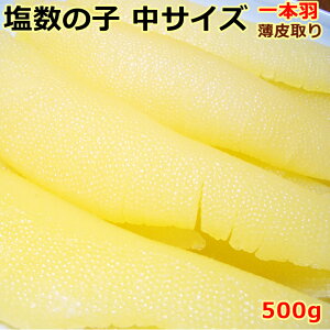 10퉷 Ji_Y ̎qTCY1{H(ނĂ܂j 500g  XtiɂāI 10퉷֔z