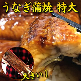 ＊特大！鰻の蒲焼 約280g 1尾 タレは日本製。肉厚・脂のりもよくうまうま♪うなぎのかば焼き ウナギの蒲焼 鰻蒲焼 鰻の蒲焼 中国産 うなぎの蒲焼き ウナギ ひつまぶし 丼