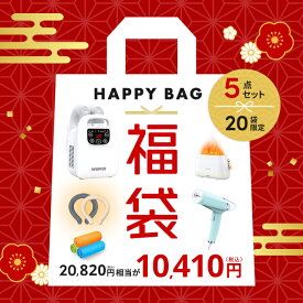 緊急企画★先着20セット 福袋 2025 2024 福袋登場 布団乾燥機 スチームアイロン 福袋 ギフト クリスマス プレゼント 送料無料