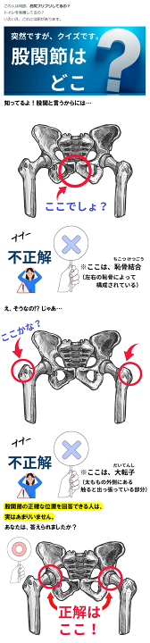 楽天市場】【レビュー特典あり】「ディープ6」股関節 クッション