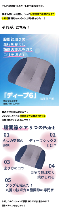 ディープ6 股関節痛　クッション 楽天市場】【レビュー特典あり】「ディープ6」股関節 クッション