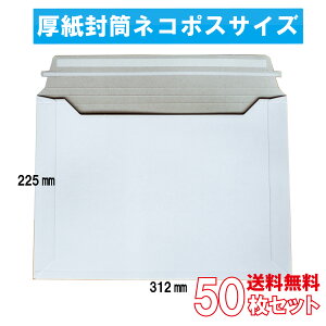 B5 lR|XTCY /A4iƏ߁j/Je[v/Yi/䂤pPbg/NbN|Xg/䂤䂤J/炭炭J/ R[g{[ 310g/z   p Ɩp