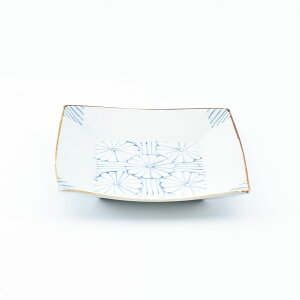 e 4.5 12cm@5.5M 17cm pM Lc XNGAv[g  q ` 킢  D ` _炩tH M ؂₩ H pM dqWΉ H@Ή 