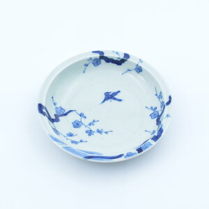 ZOA t~ 4.5M | vCV[Y ~ t  킢 Lc   v[g ARITA