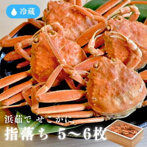 [①]yɌYzl䥂Ł^Ɂ^w^500gip5`6tj