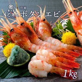 ＼★全品500円OFF★／冷凍ボタンエビ 1kg(500g×2パック) 海老 えび 刺身 オードブル 贈答用 ごちそう お祝い 食べ物 グルメ お取り寄せ