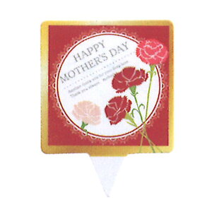 y̓/sbNzYM-5@10䂤pPbg1