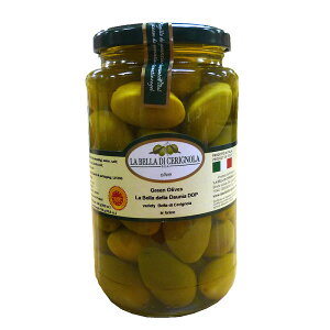 GABAN@Mo CO[I[u(킠)@310g