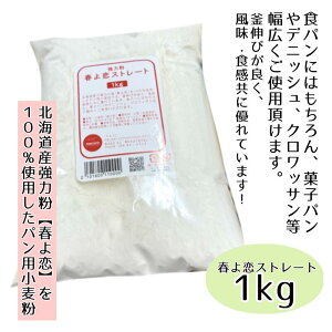 ykCY͕ztXg[g100y1kgzY  z[x[J[ 育 Hp َqp Hp y؃p R