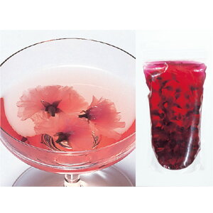 yizyܖ2026N320zRY ԖЃVbvy100gz@TN@@Vbv@ti