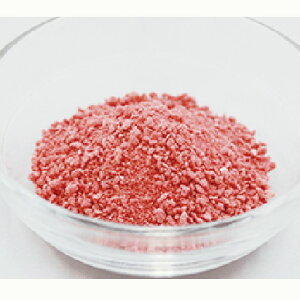 yizyܖ2025N1222zWTNN`iYjԃr[gFfy30gz@@ti