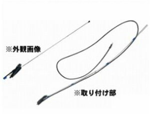 WIAei nC[bggbN S201P S211P ANT-D2 DHAN-0007