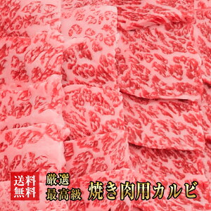 g Jr Zbg 900gi225g×4j   Y  Jr Mtg o[xLE Lv  Mtg   Ε 䒆 Ε hV̓ a NX}X v[g 