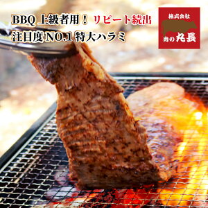  n~ 1{ Ђ ےƎ̃^ɒЂĂ܂I(800g 60cm) vCNX Аē̃^ƓXI≖t   n~ ē o[xL[ n~ Lv  