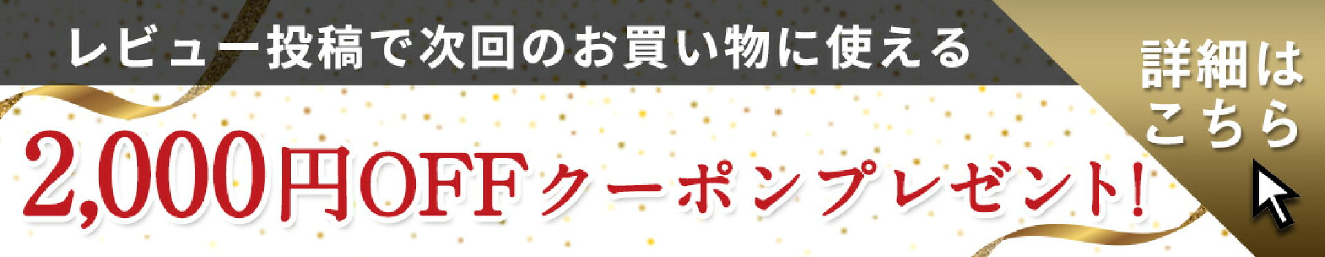 レビュー投稿で2000円OFFクーポンプレゼント！