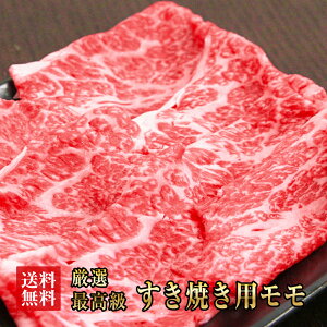 g  Ăp 1350gi225g×6)   Y  Ă   Ԑg Mtg  Mtg  Ε v[g j j 蕨  LO NX}X 