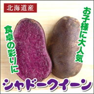 北海道産 じゃがいも シャドークイーン※