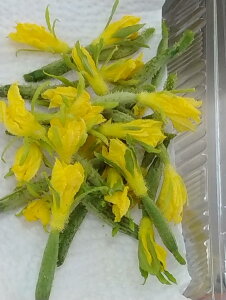 �������Y �ԕt���イ�� �Ԃ��イ�� ��20�{