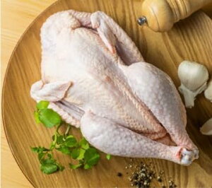 kCY n{ ԕ΂ǂ  ی{ 2.5KGs IX 1H