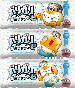 ԏ KKN T[105ml×33܁{(܂1{t) 2025N