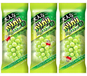 ԏ lȃKKN n}XJbg100ml×24