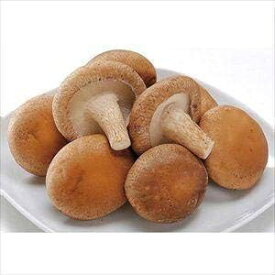 徳島県産 菌床生しいたけ　約100g（15個前後）