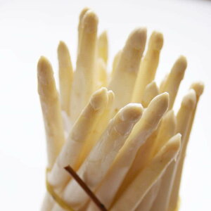 C^AobT[mY@tbV@zCgAXpKX@DOP@1KG