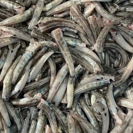 国産 冷凍IQF メヒカリ, 頭なしドレス 1kg（60尾～70尾）