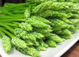 フランス産　フレッシュ　アスパラソバージュ　約500g