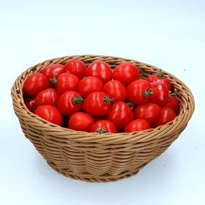 北海道 トマトベリー(ミニトマト赤) 約500g