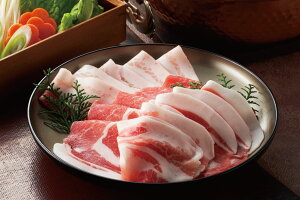 Y F_ꂩ܍ o[NV[100 [X