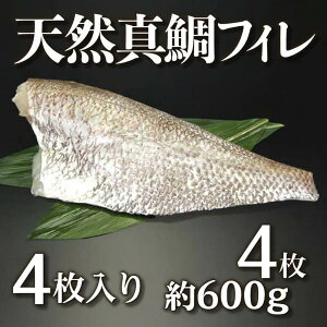 【瀬戸内海産】天然真鯛フィレ 4枚入り 約600g(1枚100〜150g)冷凍 真空パック 国産 天然魚 切り身 鯛めし 塩焼き カルパッチョ アクアパッツァ 海鮮 魚料理 ギフト お取り寄せグルメ