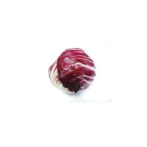 yAJYzAgrX 1 250`300gO VN T_p ʂEꖡ fBbLI radicchio