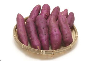 yYzpviHp܂j󂠂@傫΂L@1KG@ȂƋ@XC[cEy[XgEĂEƖp zNzNÂY