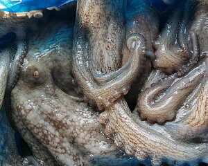 XY Ⓚ Y^ }_RA2kgO