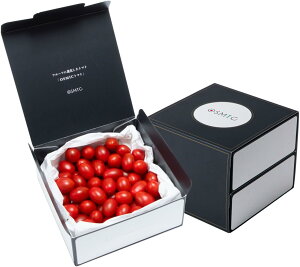 Y IX~bNg}g OSMICg}g ~j v~A 500g