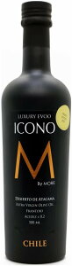 yFRUITYzGLXgo[W I[uIC ICONO(ACRm) 500ml by MORE Chile