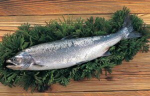 kCَY@TN}X@@1KG@Z~hX