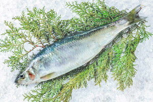 kC َY ① jV ɂ ۂ Ȃ 1400gO